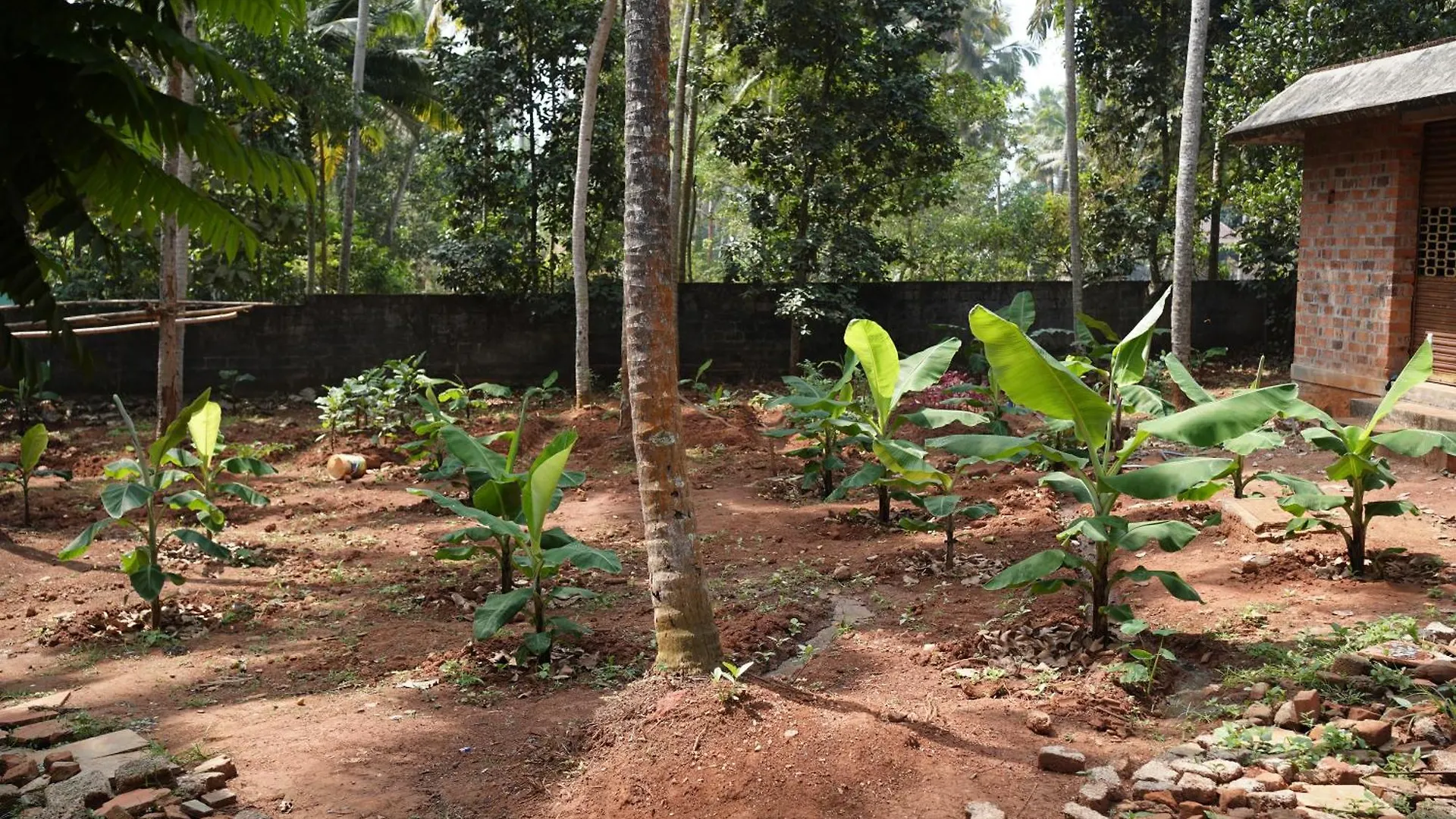 G O D'S Own Country Resort Kovalam By Bestinn Leisure Vizhinjam